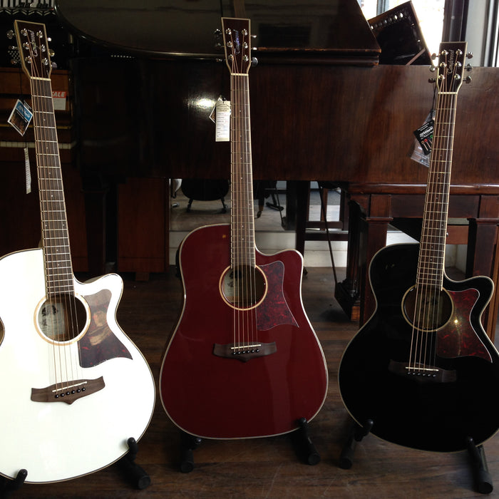 NEW Tanglewood Winterleaf TW4 and TW5 Electro Acoustic Guitars!
