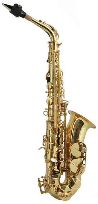Trevor James SR Alto Saxophone Outfit Gold