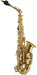 Trevor James SR Alto Saxophone Outfit Gold