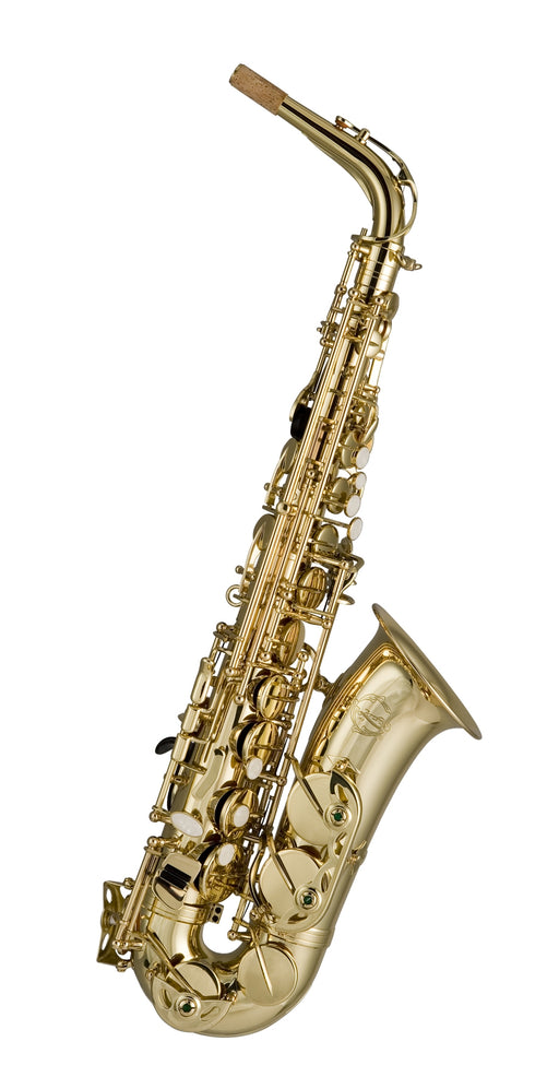 Artemis Alto Saxophone Outfit Gold