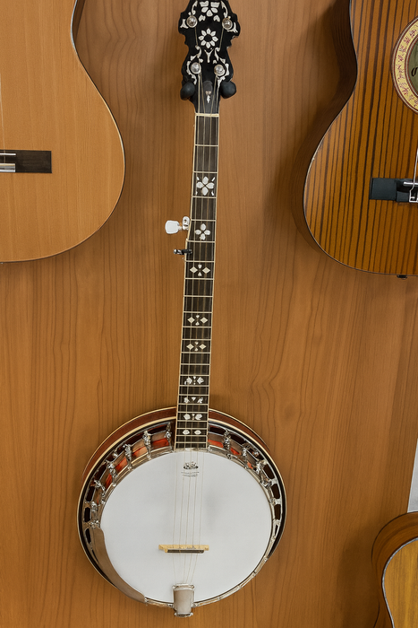 Second Hand Recording King RK-R20 5 string Banjo