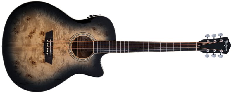 Washburn DFBACE Deep Forest Burl Grand Auditorium Electro Acoustic Guitar