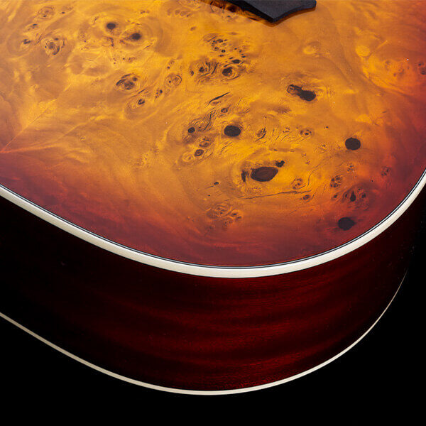 Washburn Deep Forest Burl D Dreadnought Acoustic Guitar