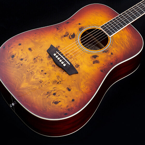 Washburn Deep Forest Burl D Dreadnought Acoustic Guitar