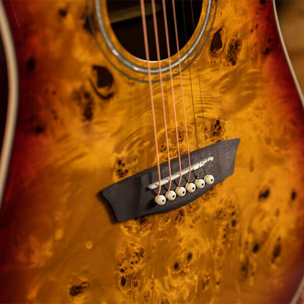 Washburn Deep Forest Burl D Dreadnought Acoustic Guitar