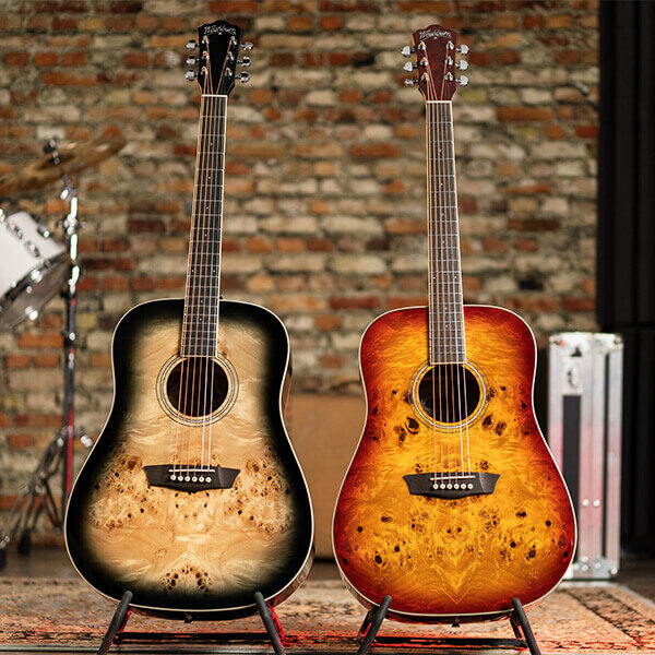 Washburn Deep Forest Burl D Dreadnought Acoustic Guitar