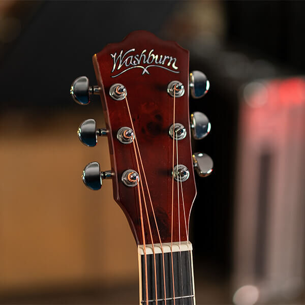 Washburn Deep Forest Burl D Dreadnought Acoustic Guitar