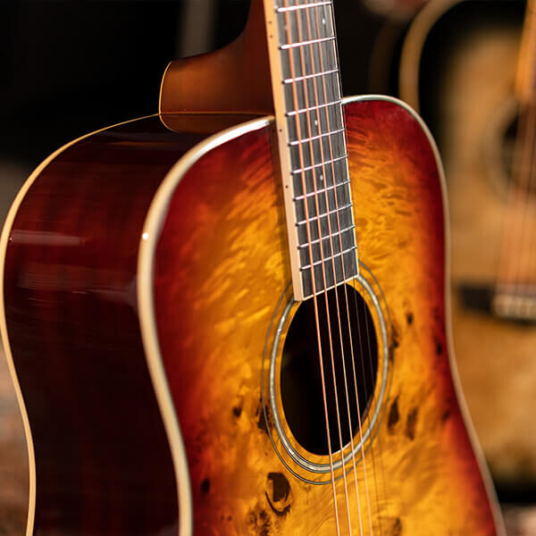 Washburn Deep Forest Burl D Dreadnought Acoustic Guitar