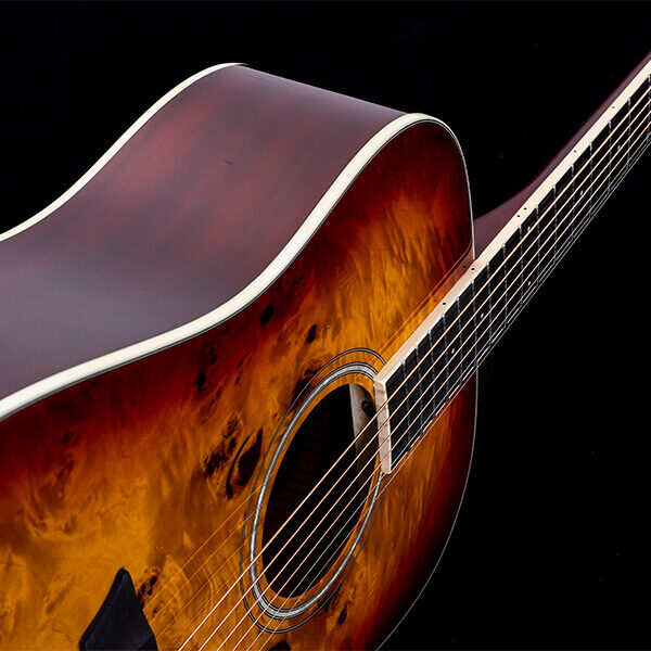 Washburn Deep Forest Burl D Dreadnought Acoustic Guitar