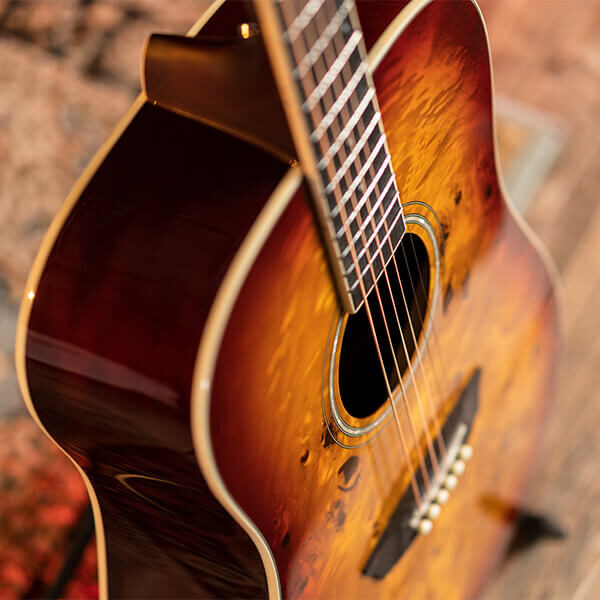 Washburn Deep Forest Burl D Dreadnought Acoustic Guitar