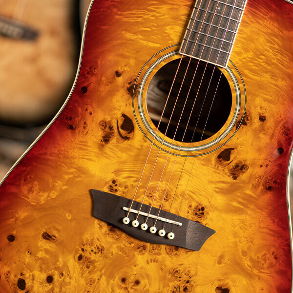 Washburn Deep Forest Burl D Dreadnought Acoustic Guitar