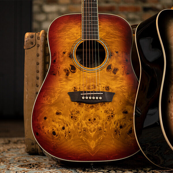 Washburn Deep Forest Burl D Dreadnought Acoustic Guitar