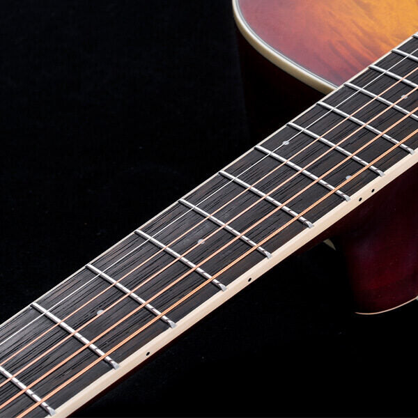 Washburn Deep Forest Burl D Dreadnought Acoustic Guitar