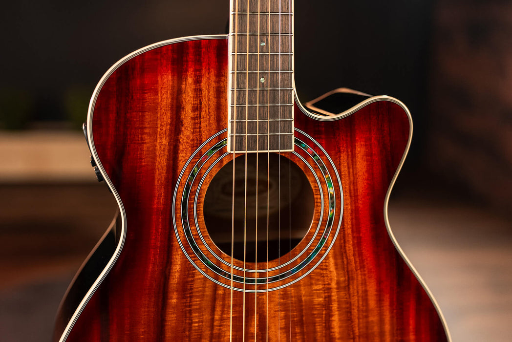 Washburn Festival EA55G Acoustic Guitar