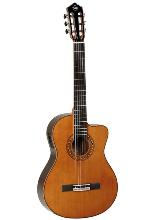 Tanglewood classical  electro guitar front 