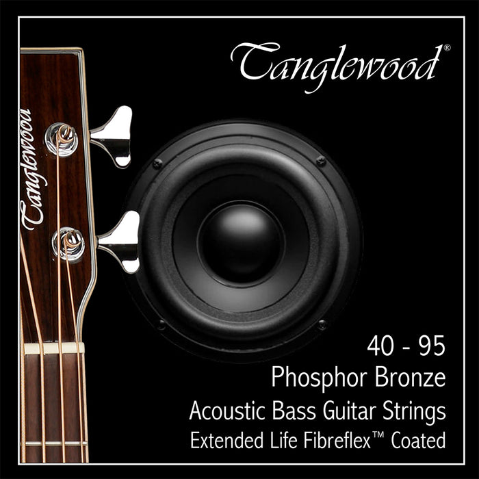 Tanglewoodw Phosphor Bronze Acoustic Bass Guitar Strings