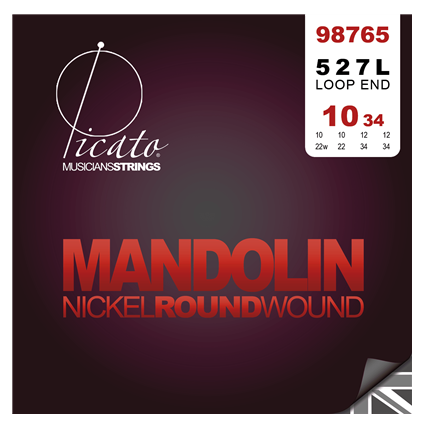 Chord CTM28 Mandolin