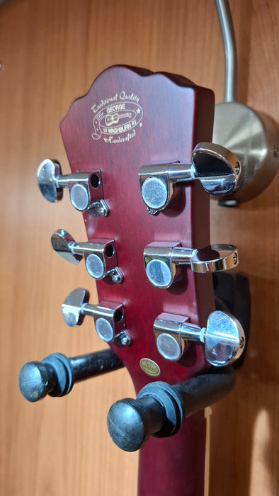 Washburn DFBD Deep Forest Burl D Dreadnought Acoustic Guitar