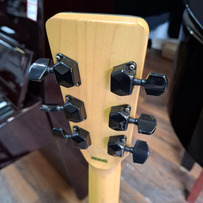 Second Hand Tanglewood SG Acouatic Guitar