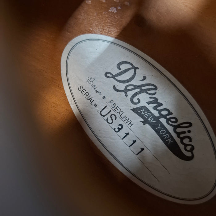 Second Hand D'Angelico Premier Electric Guitar