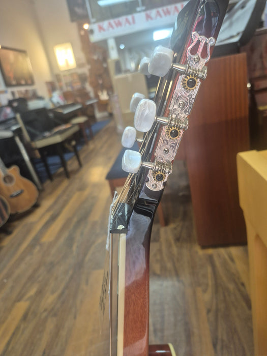 Second Hand Rally 'Dobro' Resonator Guitar