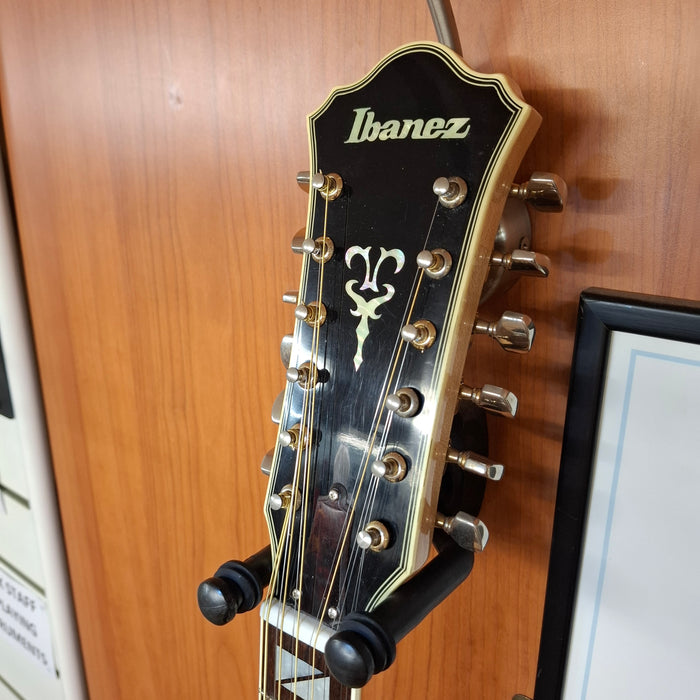Second Hand Ibanez J542 12 String Acoustic Guitar