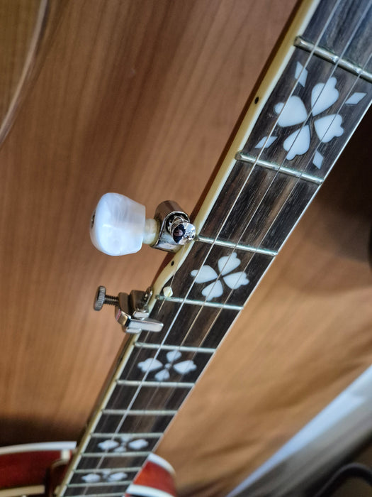 Second Hand Recording King RK-R20 5 string Banjo