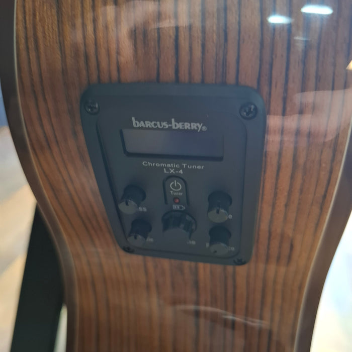 Washburn Bella Tono Vite S9V Acoustic Guitar