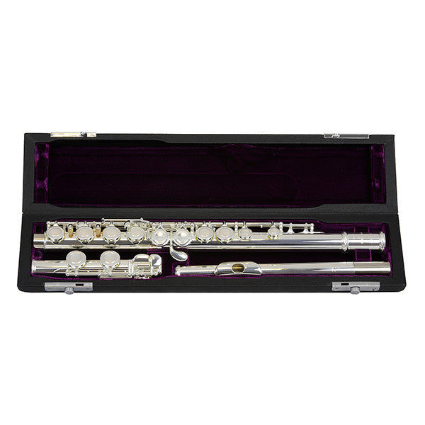 Trevor James 10x Flute Outfit and case