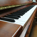 Yamaha M5J Piano