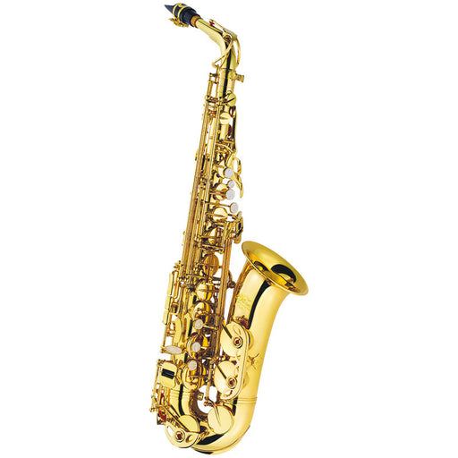 J. Michael Alto Saxophone Outfit gold