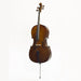 Stentor Student I Cello Outfit 