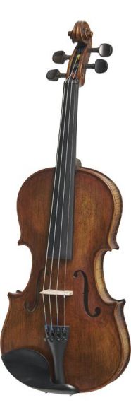 Stentor Verona Violin Outfit (Full Size)