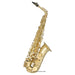 Trevor James Horn Classic Alto Saxophone Outfit in GoldTrevor James 'The Horn' Alto Saxophone Outfit