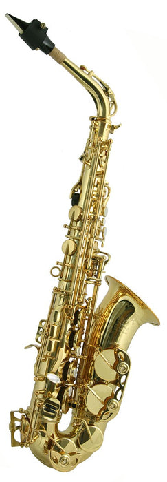 Trevor James SR Alto Saxophone Outfit  bronze gold