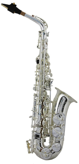 Trevor James SR Alto Saxophone Outfit silver