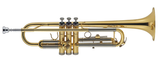 J. Michael Bb Trumpet 'Standard' Outfit