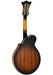 Picato Mandolin 527L Nickel Strings 10-34 back